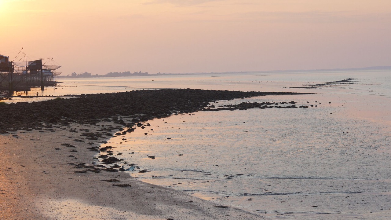 Photo of Others in Saint-Yzans-de-Medoc