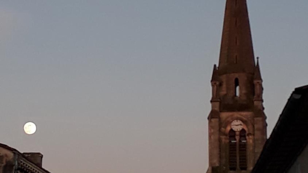 Photo of Outdoor in Saint-Yzans-de-Medoc