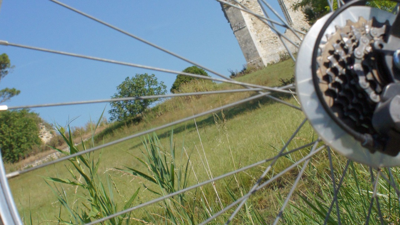 Photo of Outdoor in Saint-Yzans-de-Medoc