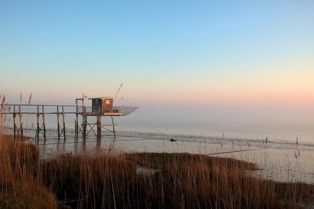 Photo of Outdoor in Saint-Yzans-de-Medoc