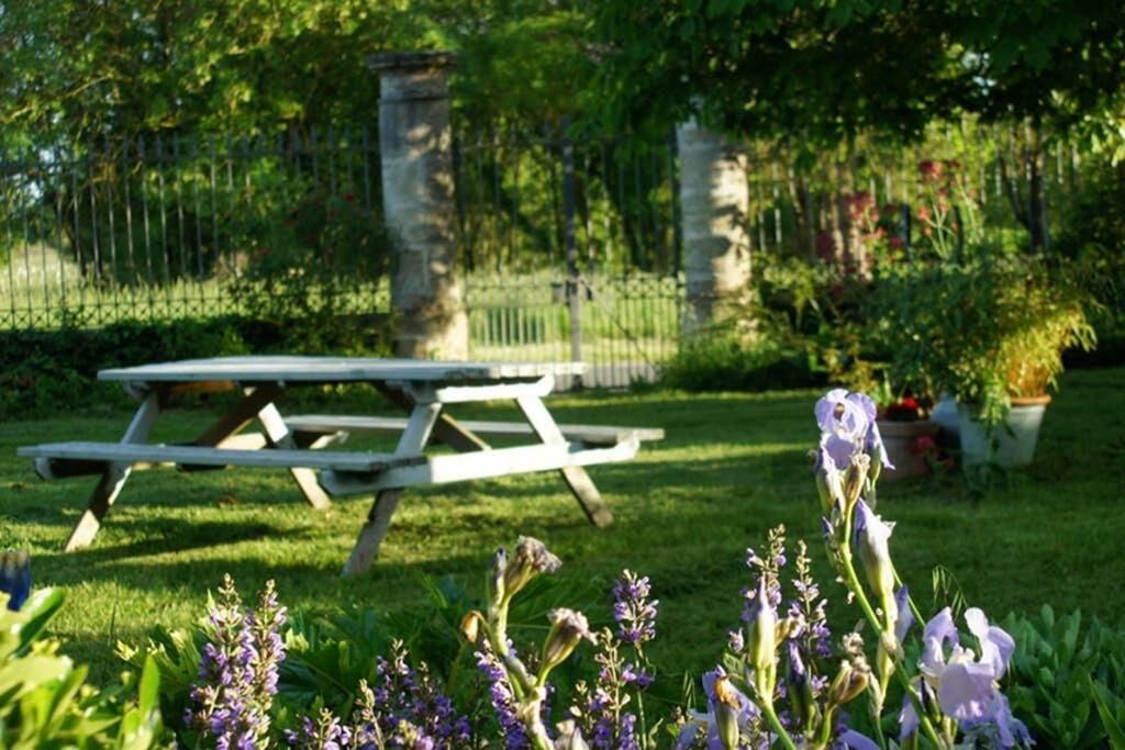 Photo of Outdoor in Saint-Yzans-de-Medoc