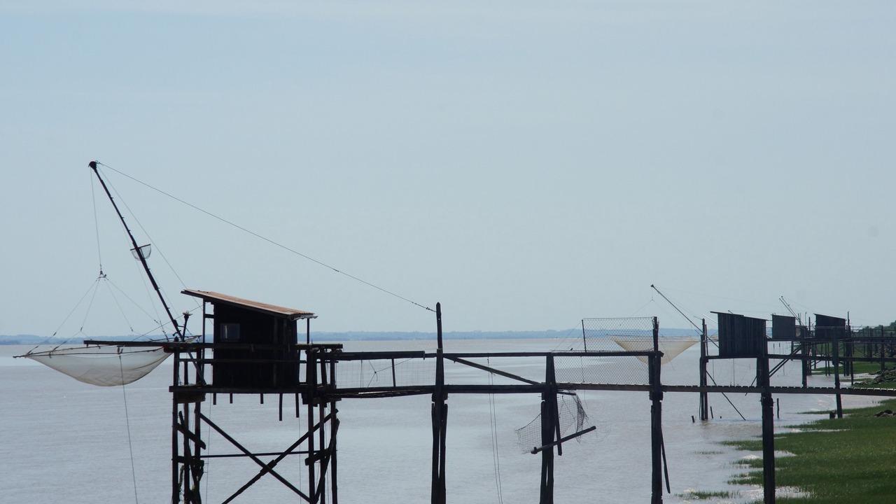 Photo of Others in Saint-Yzans-de-Medoc