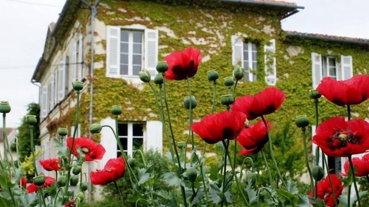 Photo of Outdoor in Saint-Yzans-de-Medoc