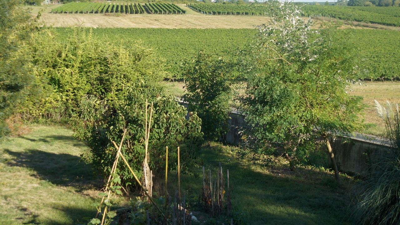 Photo of Others in Saint-Yzans-de-Medoc