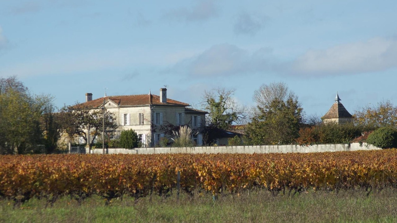 Photo of Outdoor in Saint-Yzans-de-Medoc