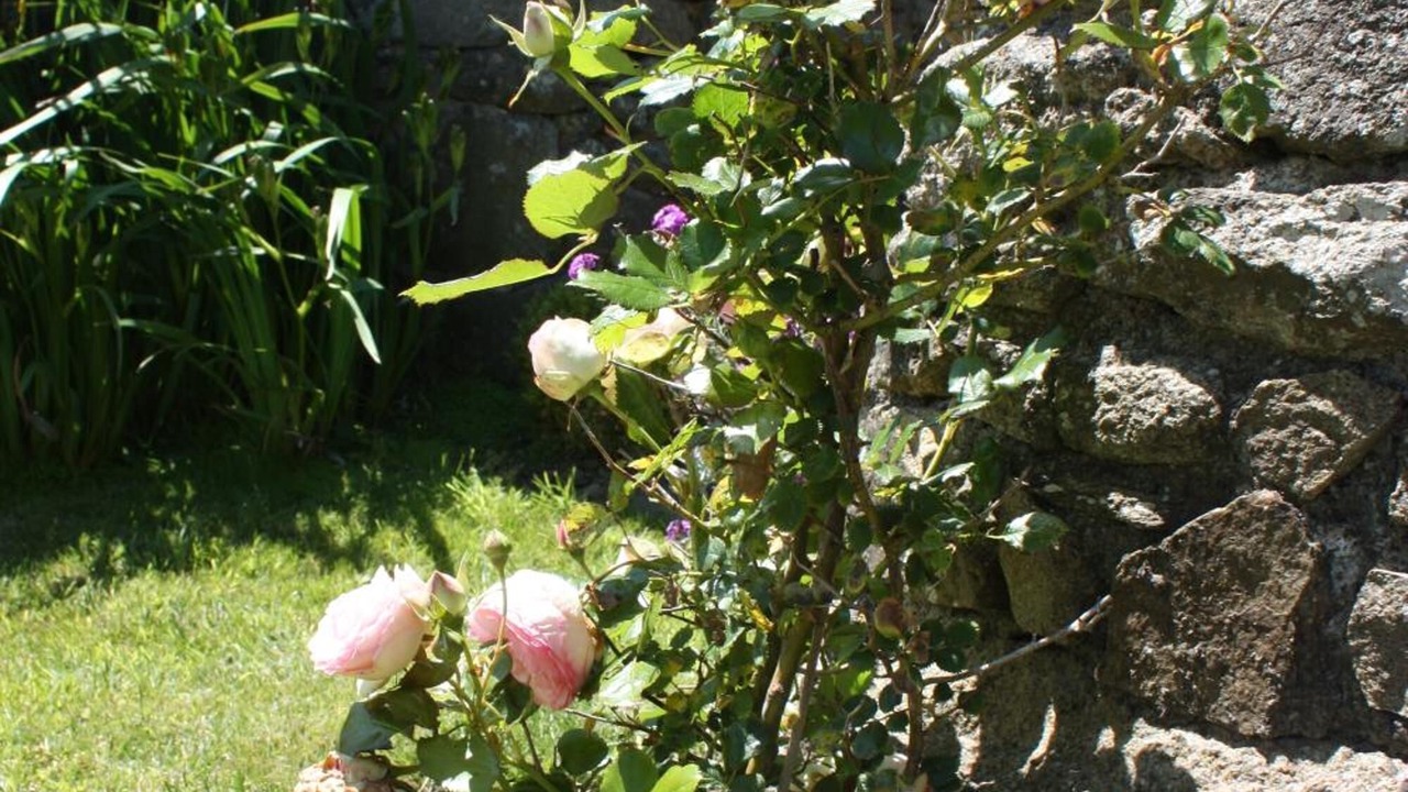 Photo of Outdoor in Lannilis