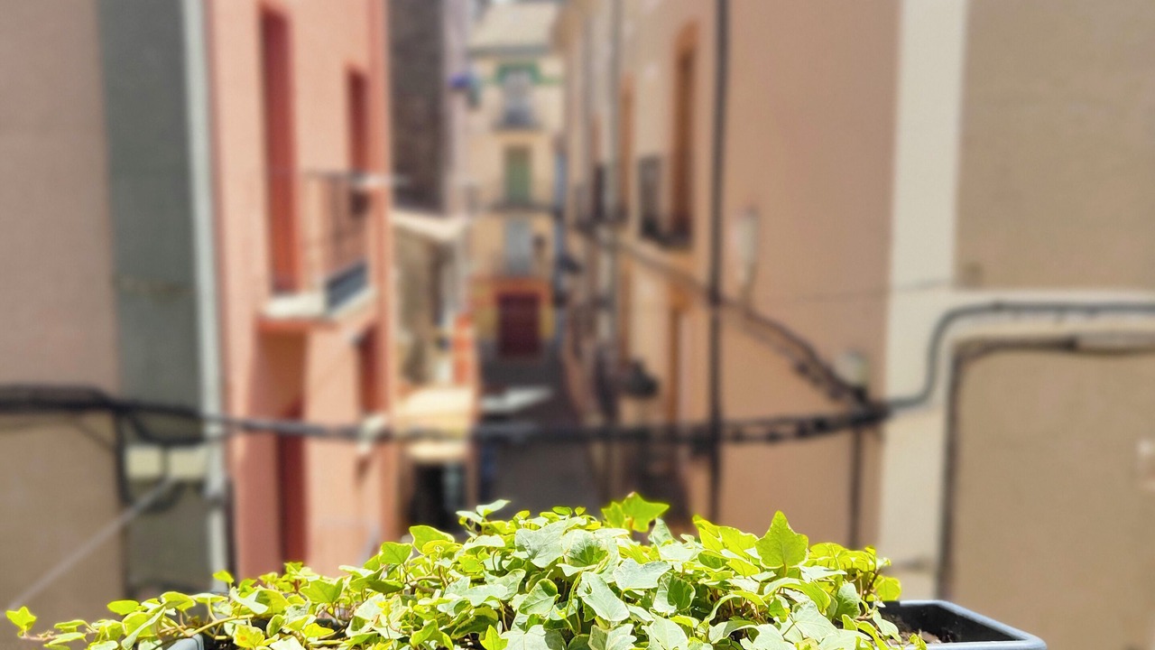 Photo of Outdoor in Jaca