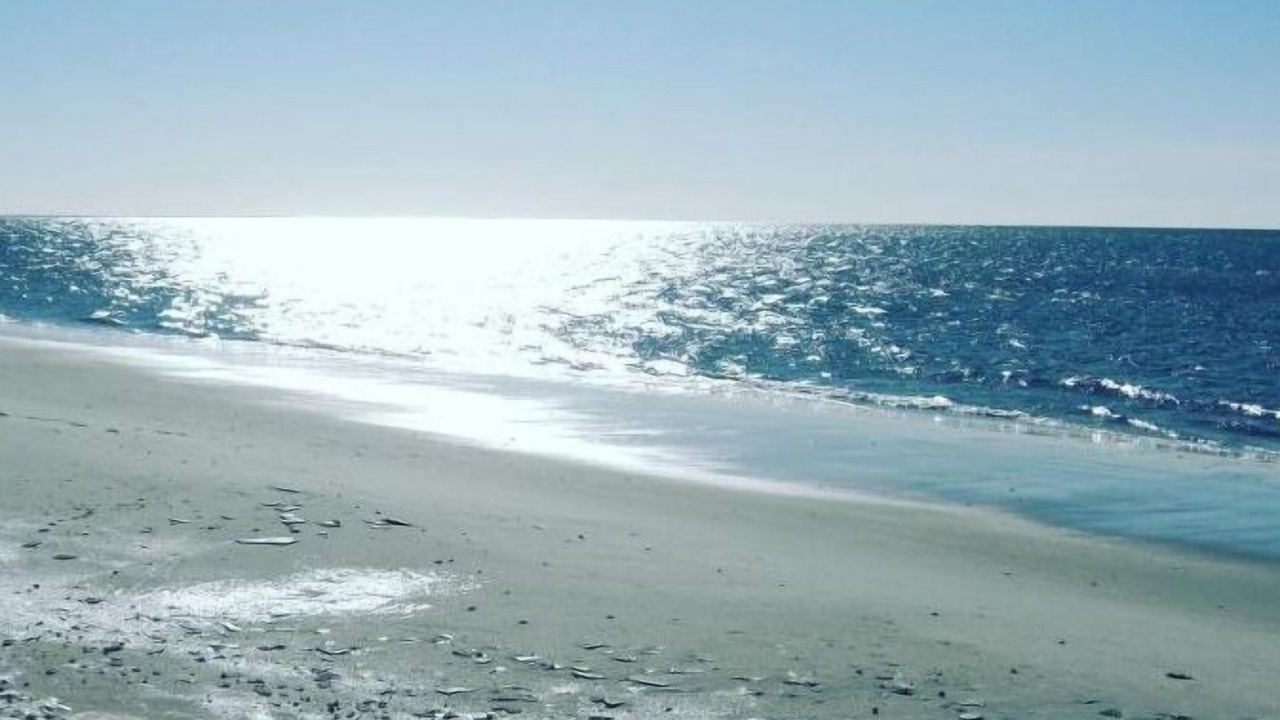 Photo of Others in Harwich Port