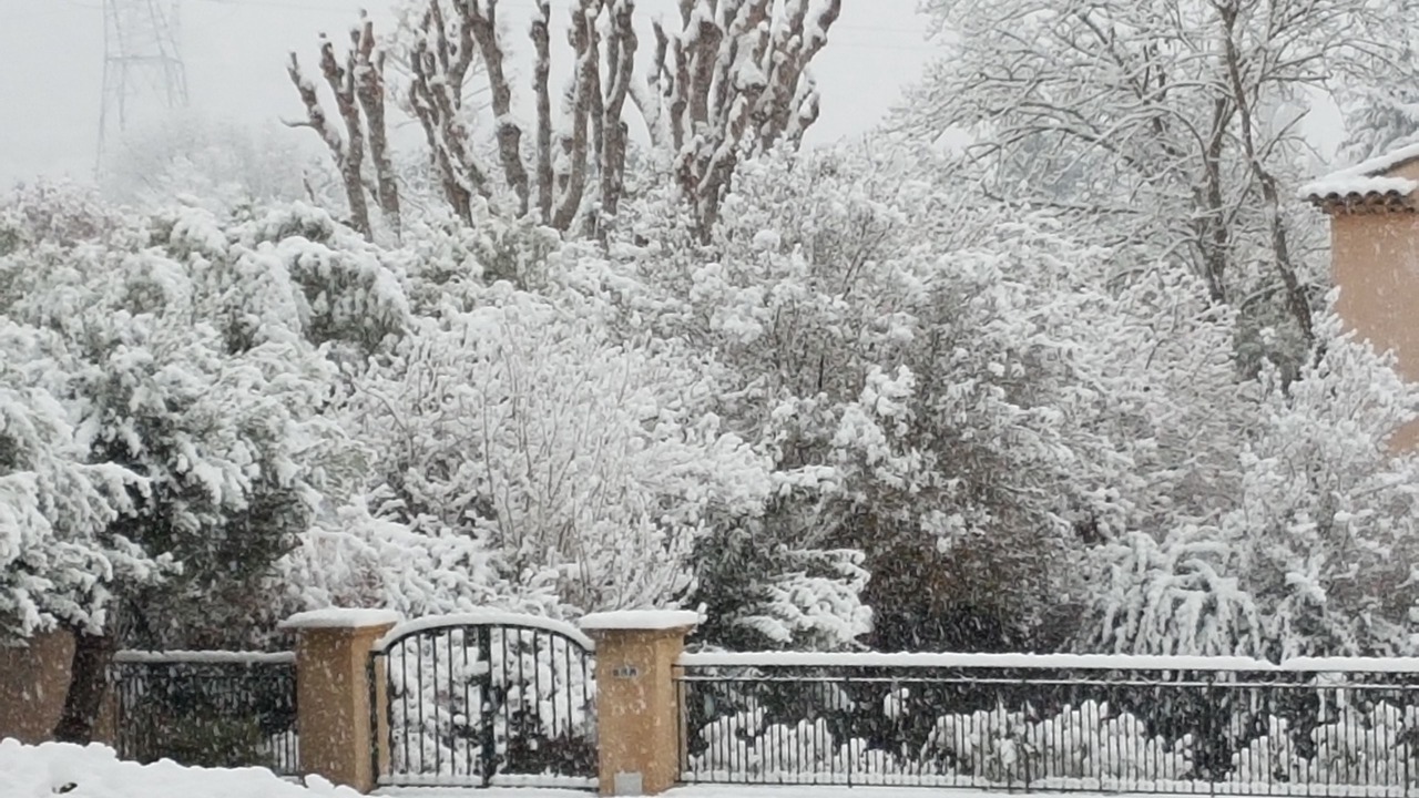 Photo of Outdoor in Cabries