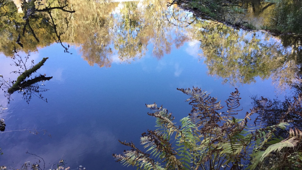 Photo of Outdoor in Blairgowrie