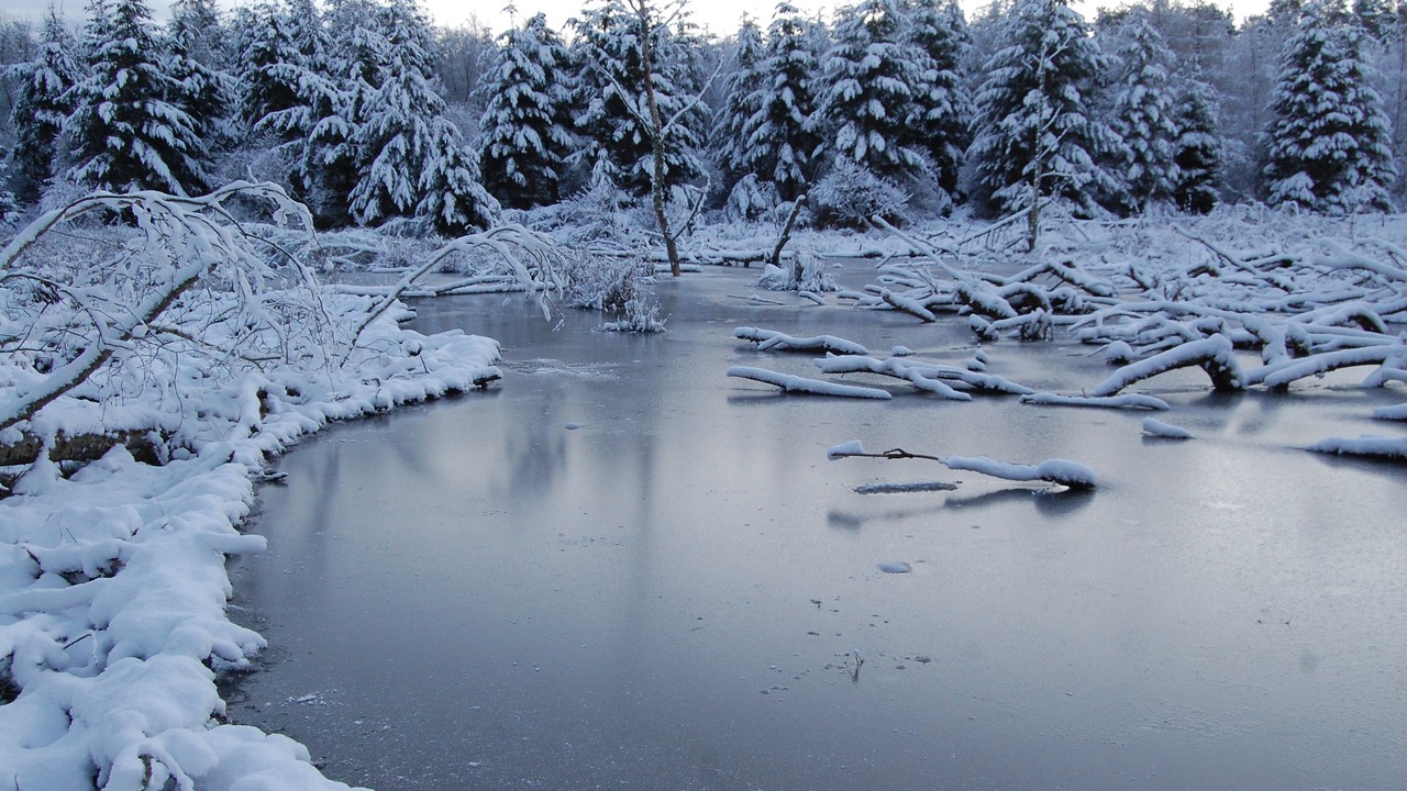 Photo of Others in Blairgowrie