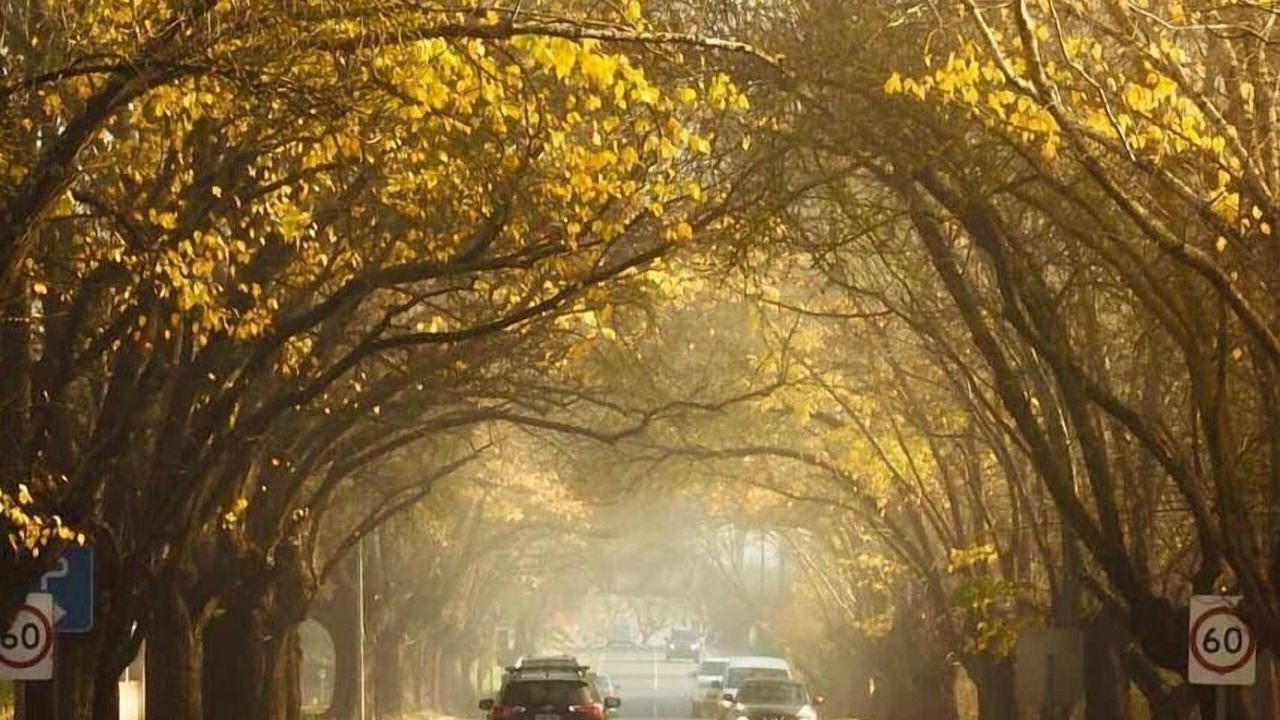Photo of Others in Hahndorf