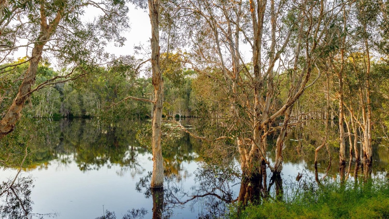 Photo of Outdoor in Mount Cotton