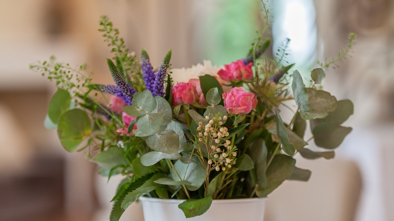 Photo of Others in Saint-Androny