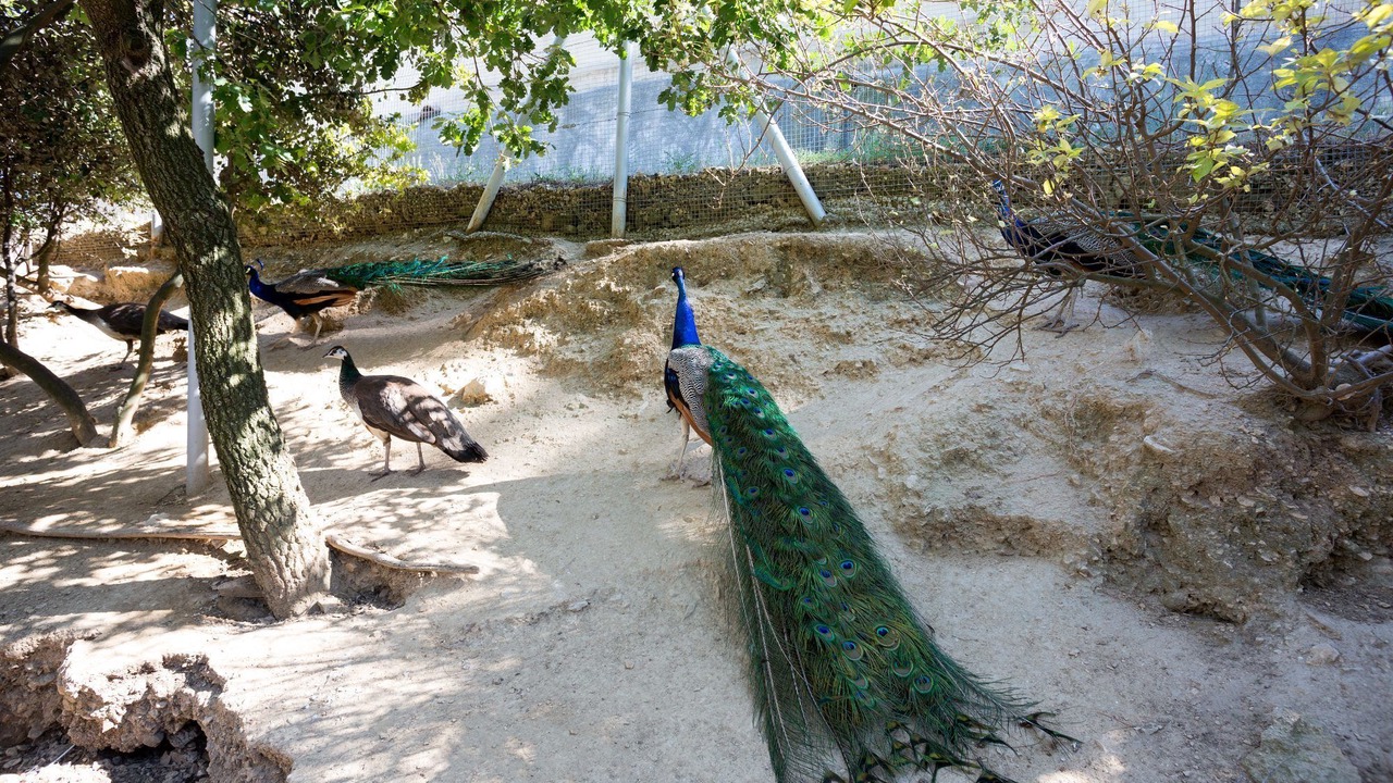 Photo of Outdoor in Lauris