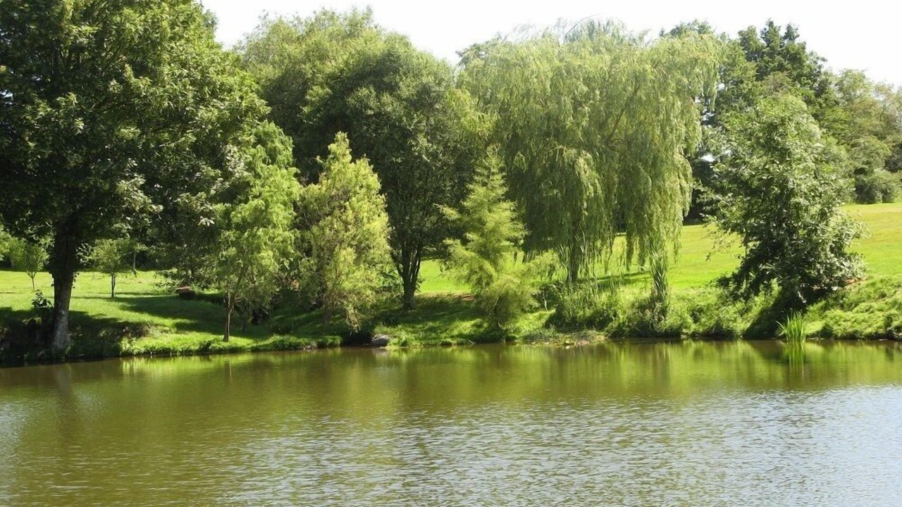 Photo of Outdoor in Les Aubiers