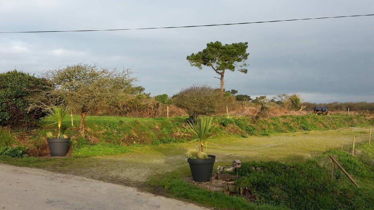 Photo of Others in Roscanvel