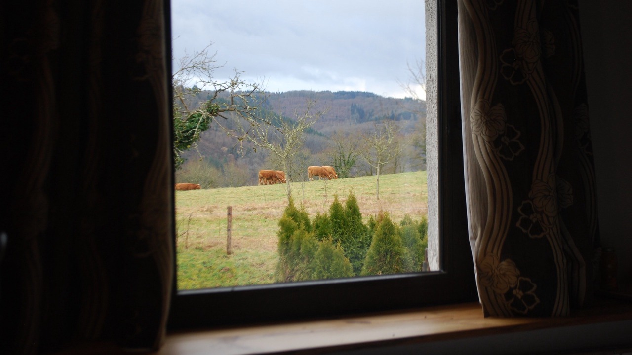 Photo of Bedroom in Augne