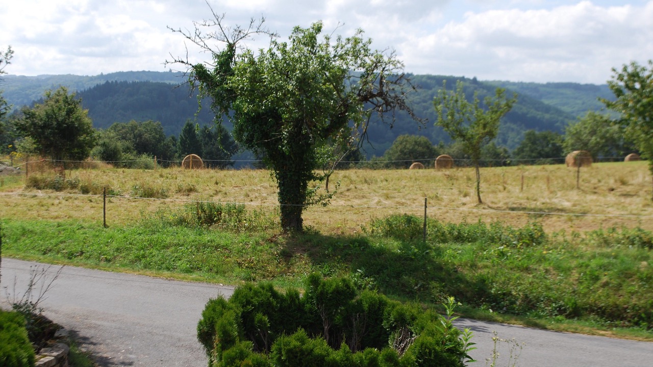 Photo of Bedroom in Augne