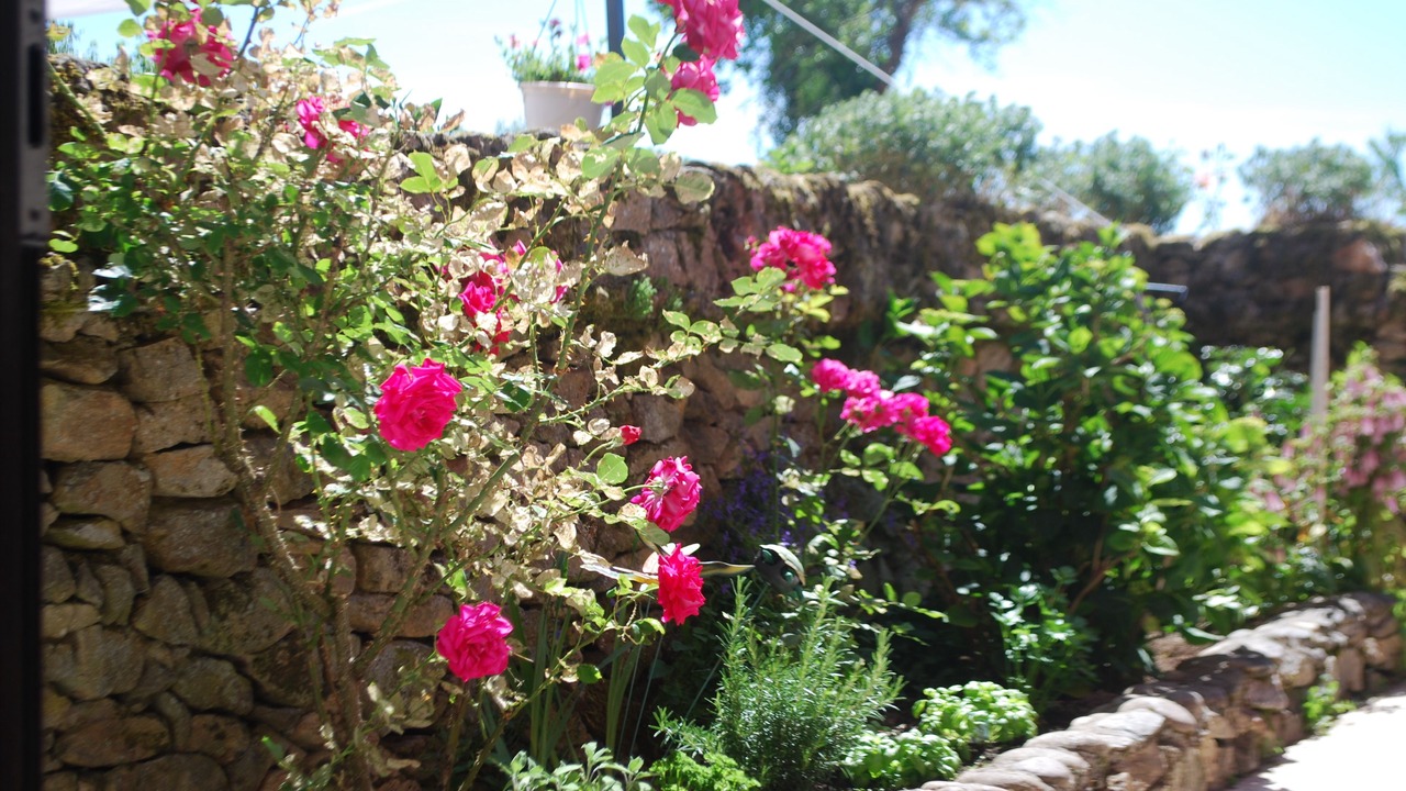 Photo of Outdoor in Augne