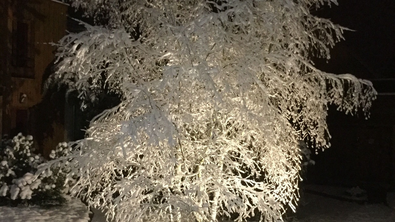 Photo of Outdoor in Saint-Ouen-en-Brie
