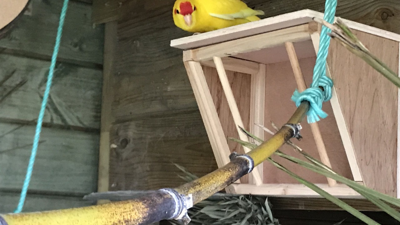 Photo of Outdoor in Saint-Ouen-en-Brie