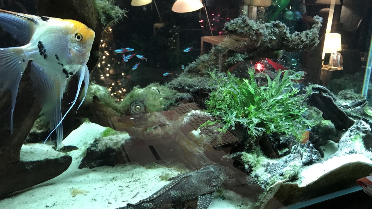 Photo of Outdoor in Saint-Ouen-en-Brie