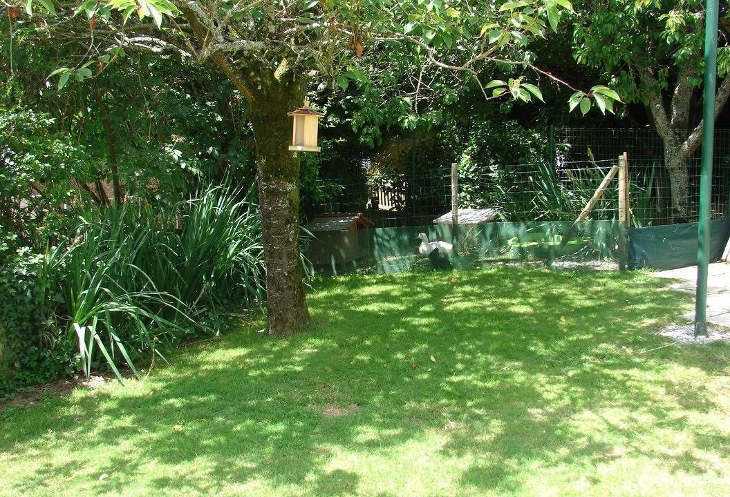 Photo of Outdoor in Cerizay