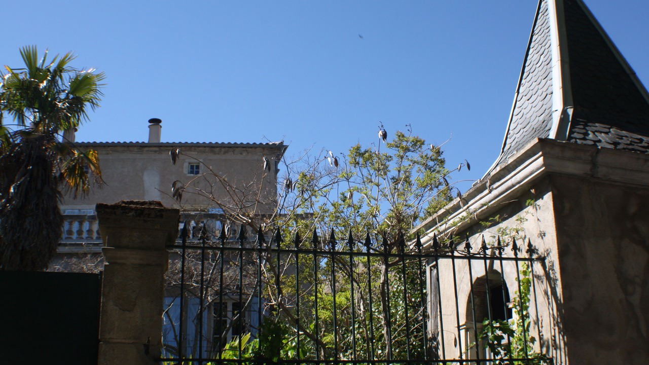 Photo of Outdoor in Montolieu