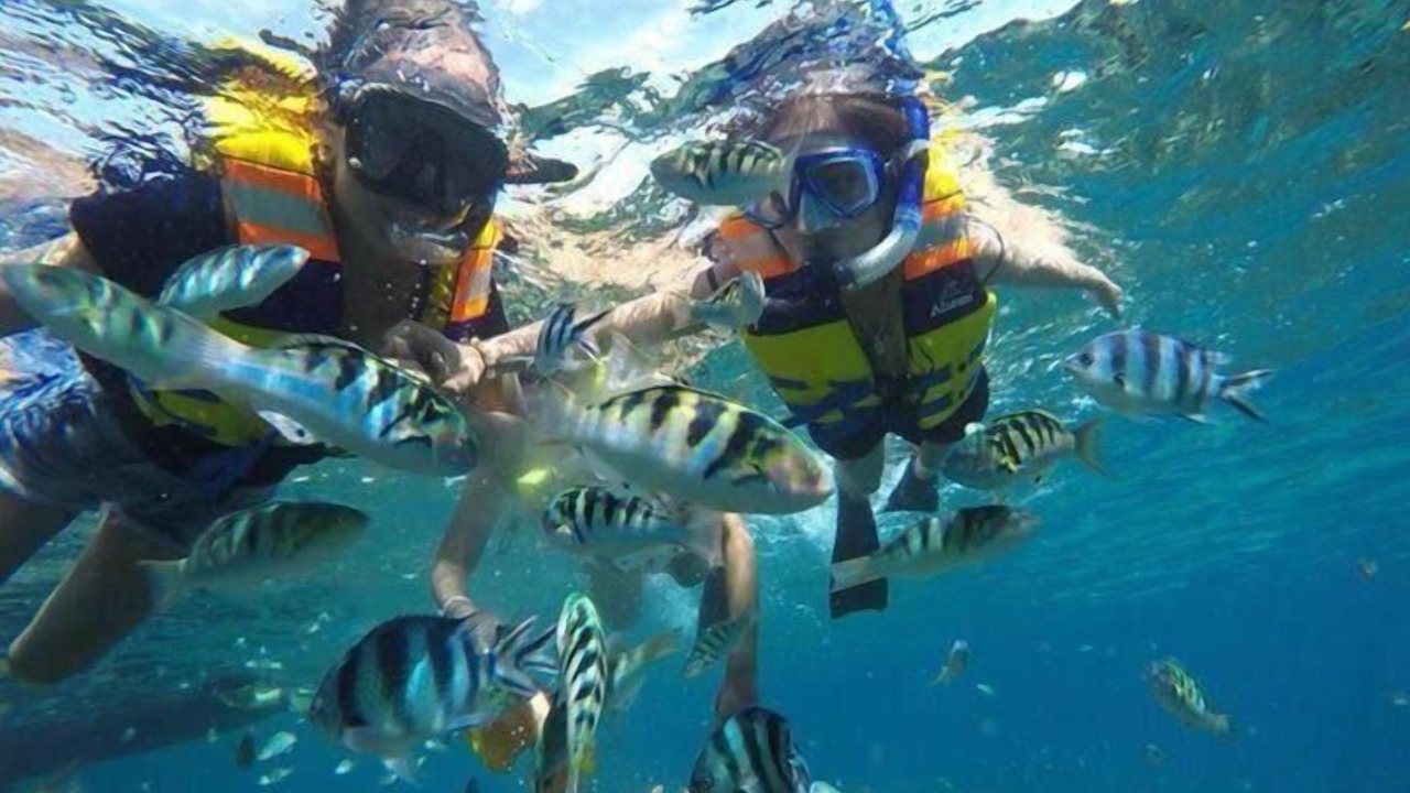 Photo of Others in Jungut Batu