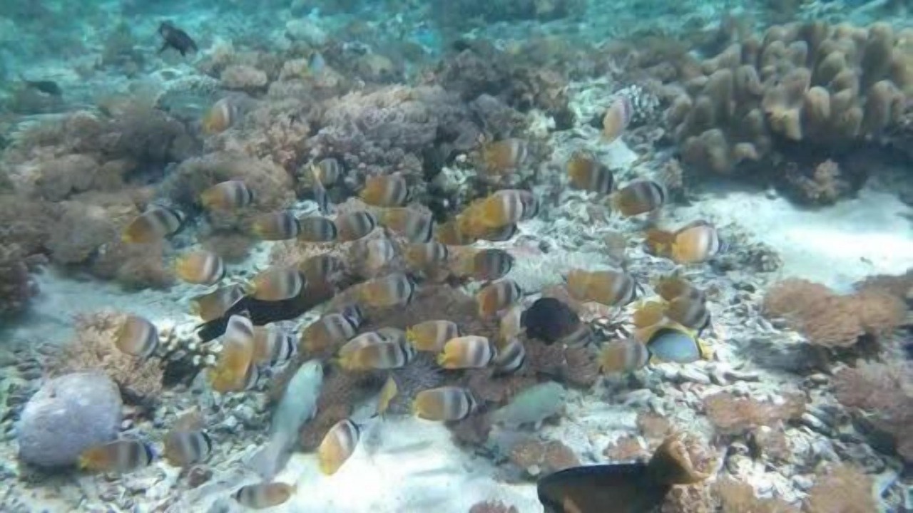 Photo of Outdoor in Jungut Batu