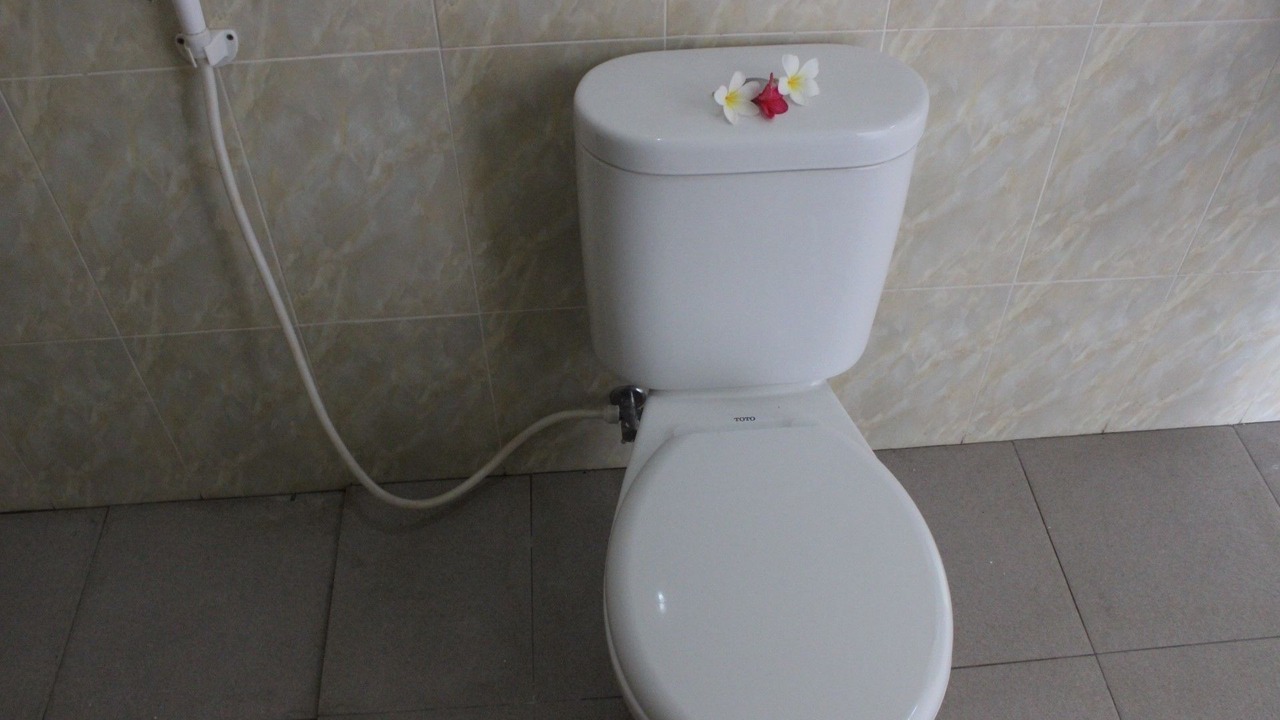 Photo of Others in Jungut Batu