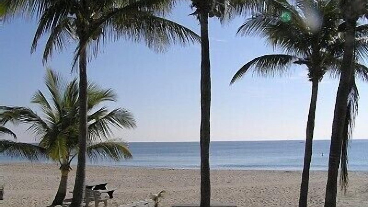 Photo of Others in Sunrise