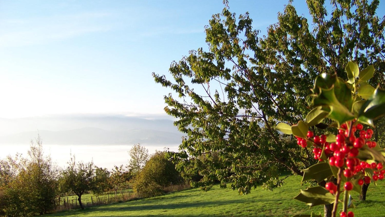 Photo of Outdoor in Cellieu