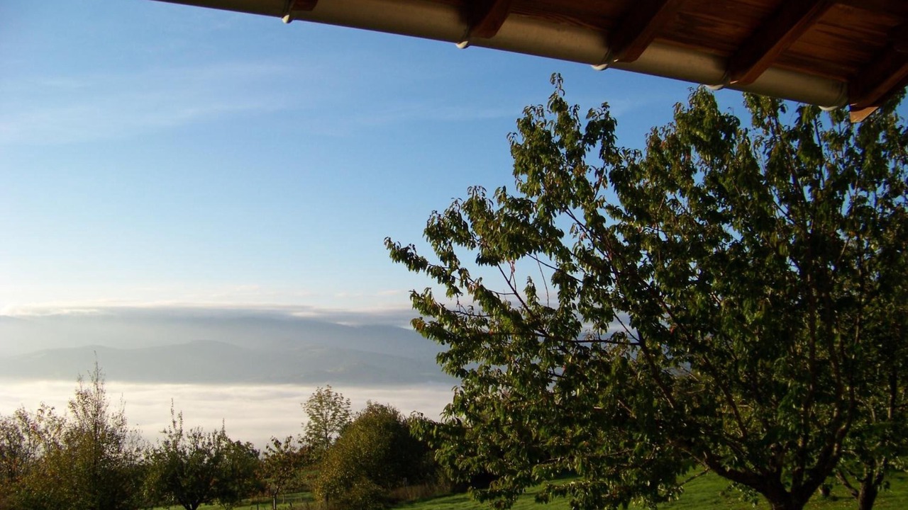 Photo of Outdoor in Cellieu