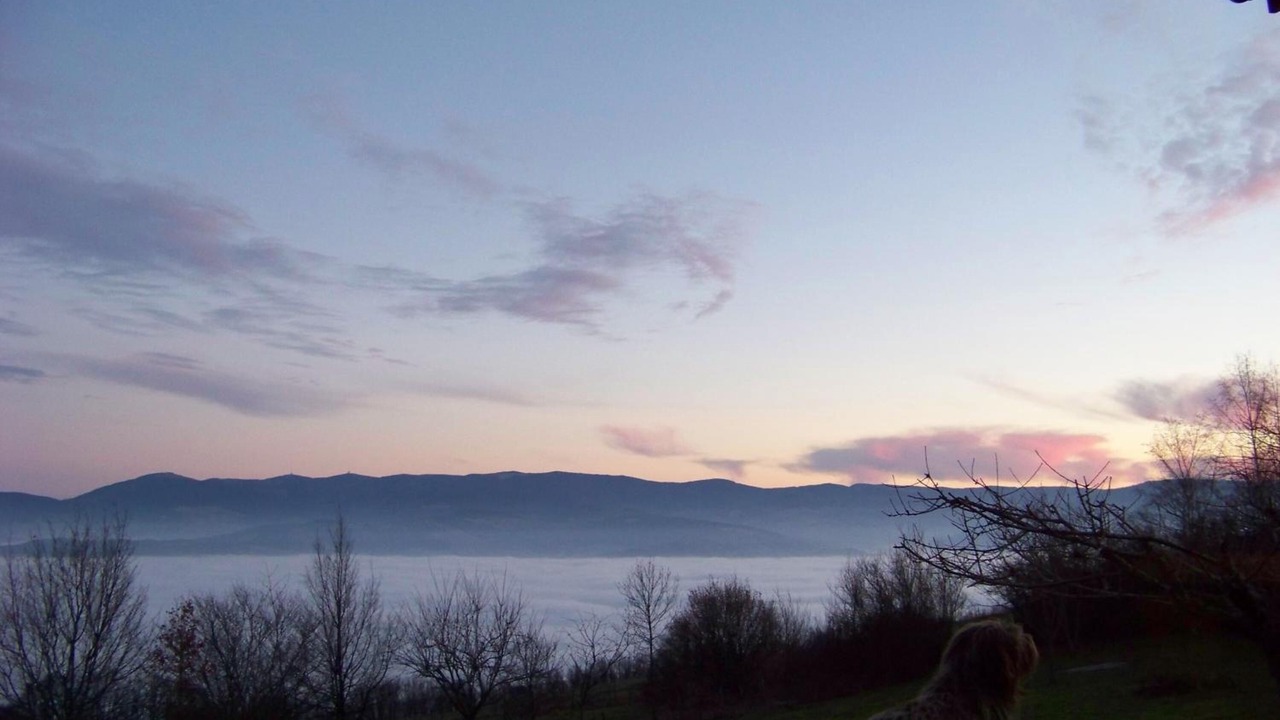 Photo of Outdoor in Cellieu