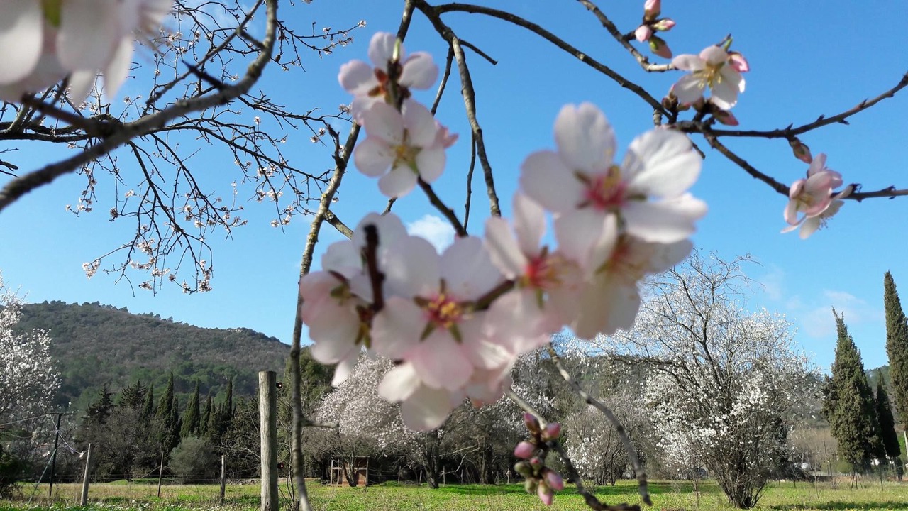 Photo of Outdoor in Le Luc