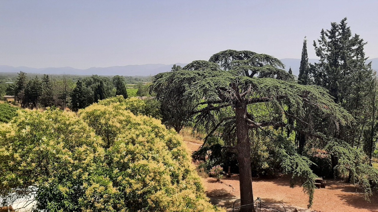 Photo of Others in Le Luc