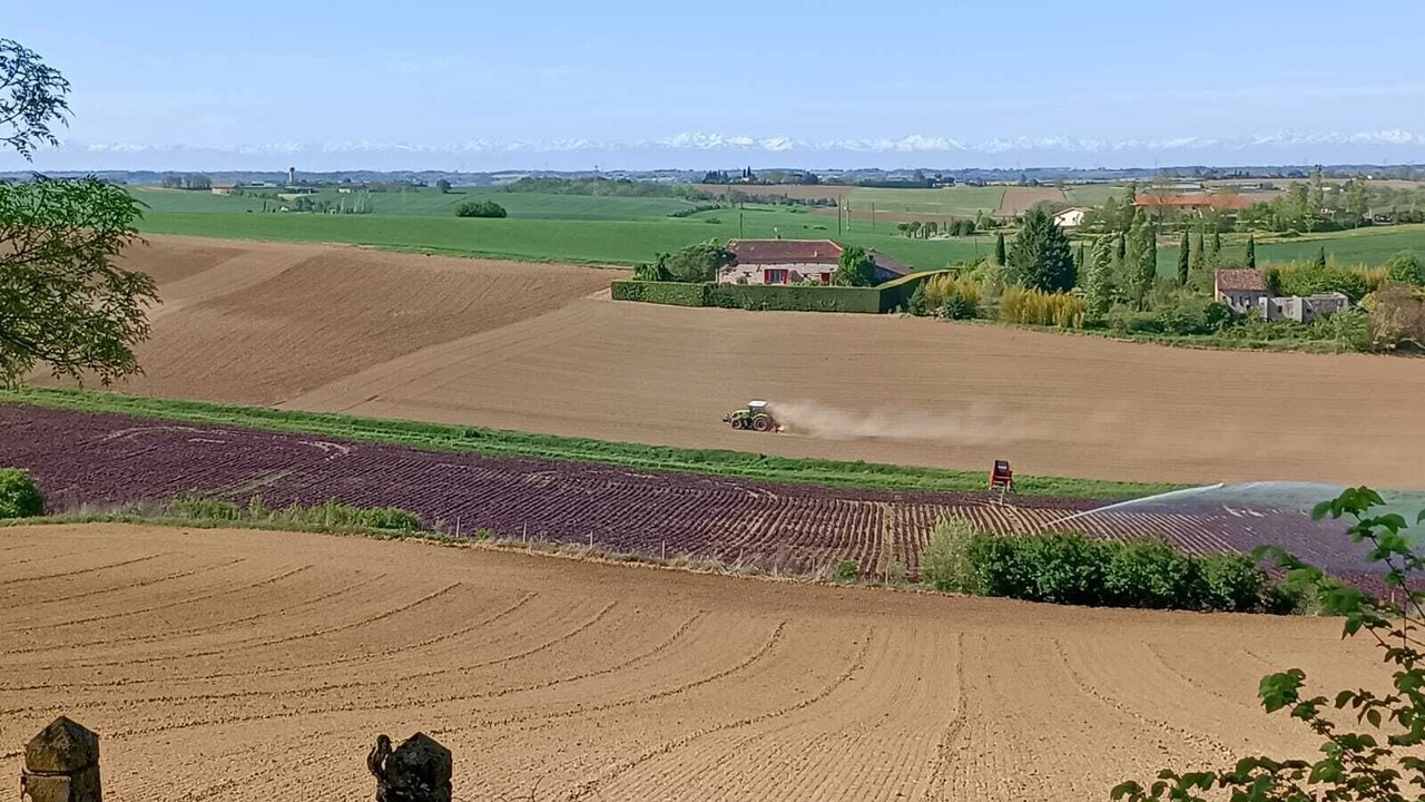 Photo of Outdoor in Lavaur