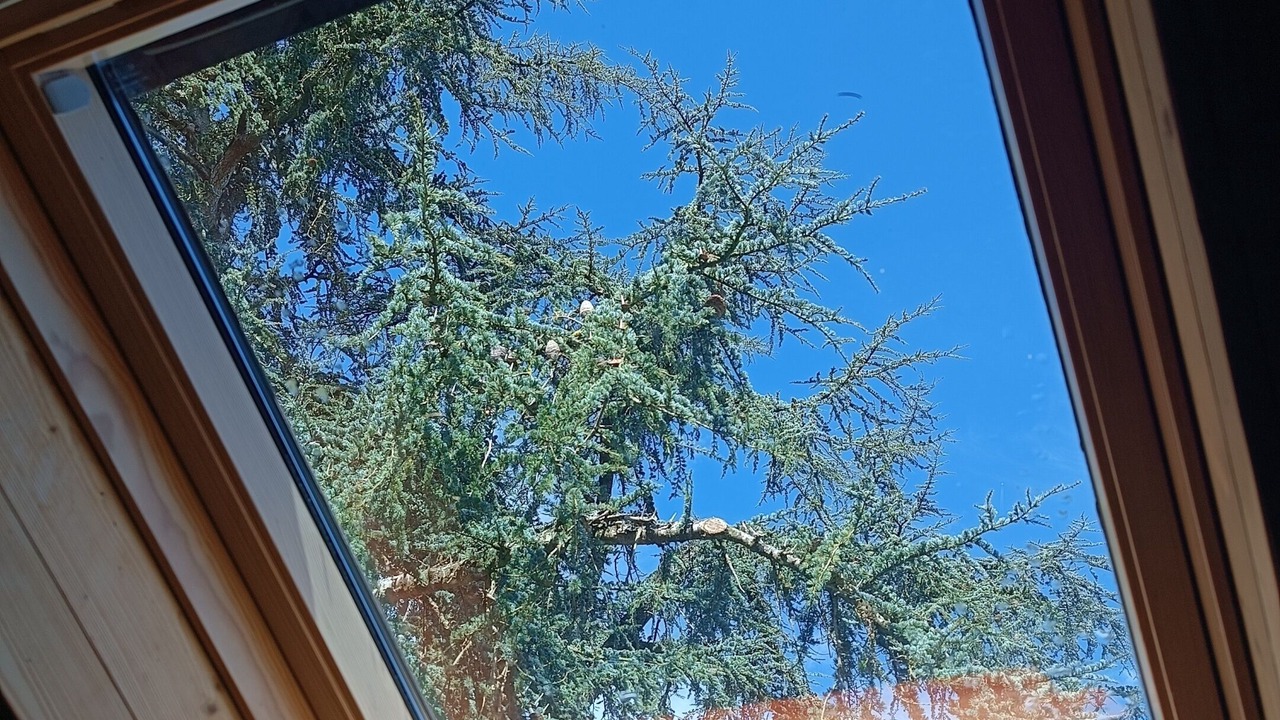 Photo of Bedroom in Lavaur
