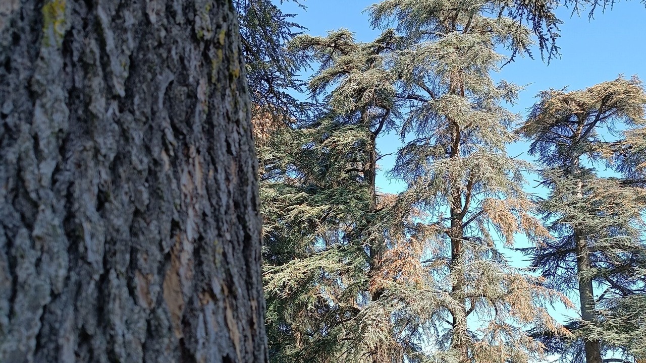 Photo of Outdoor in Lavaur