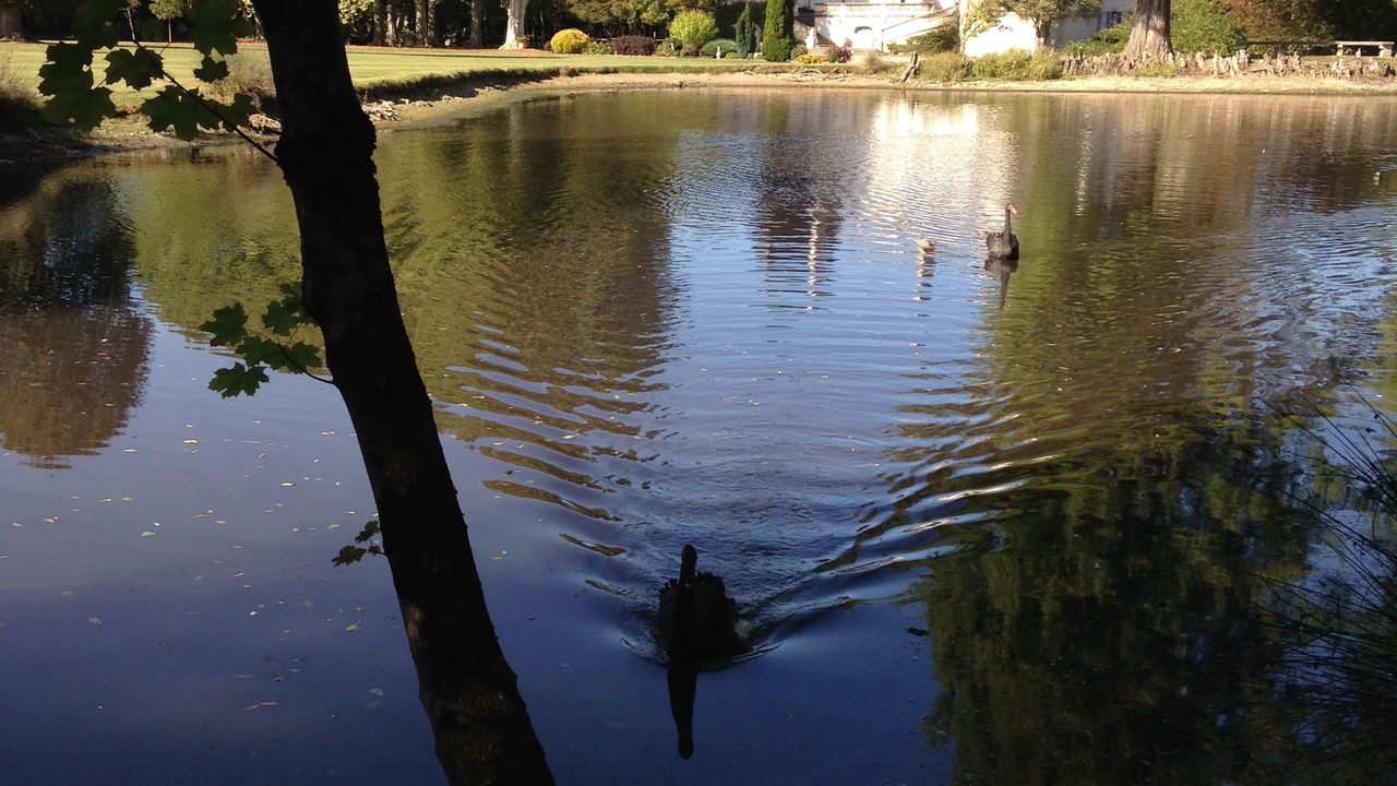 Photo of Outdoor in La Bastide-de-Serou