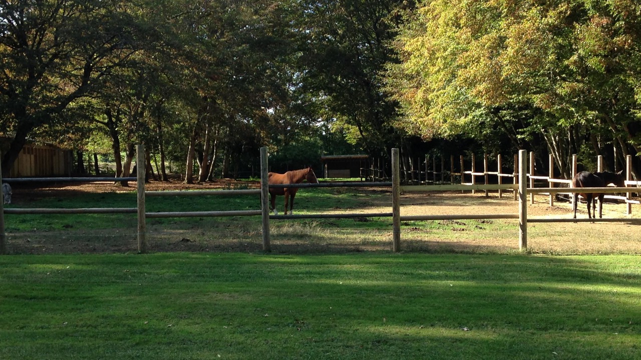 Photo of Outdoor in La Bastide-de-Serou