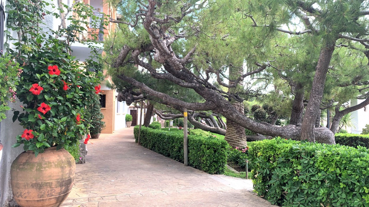 Photo of Outdoor in El Roc de Sant Gaieta