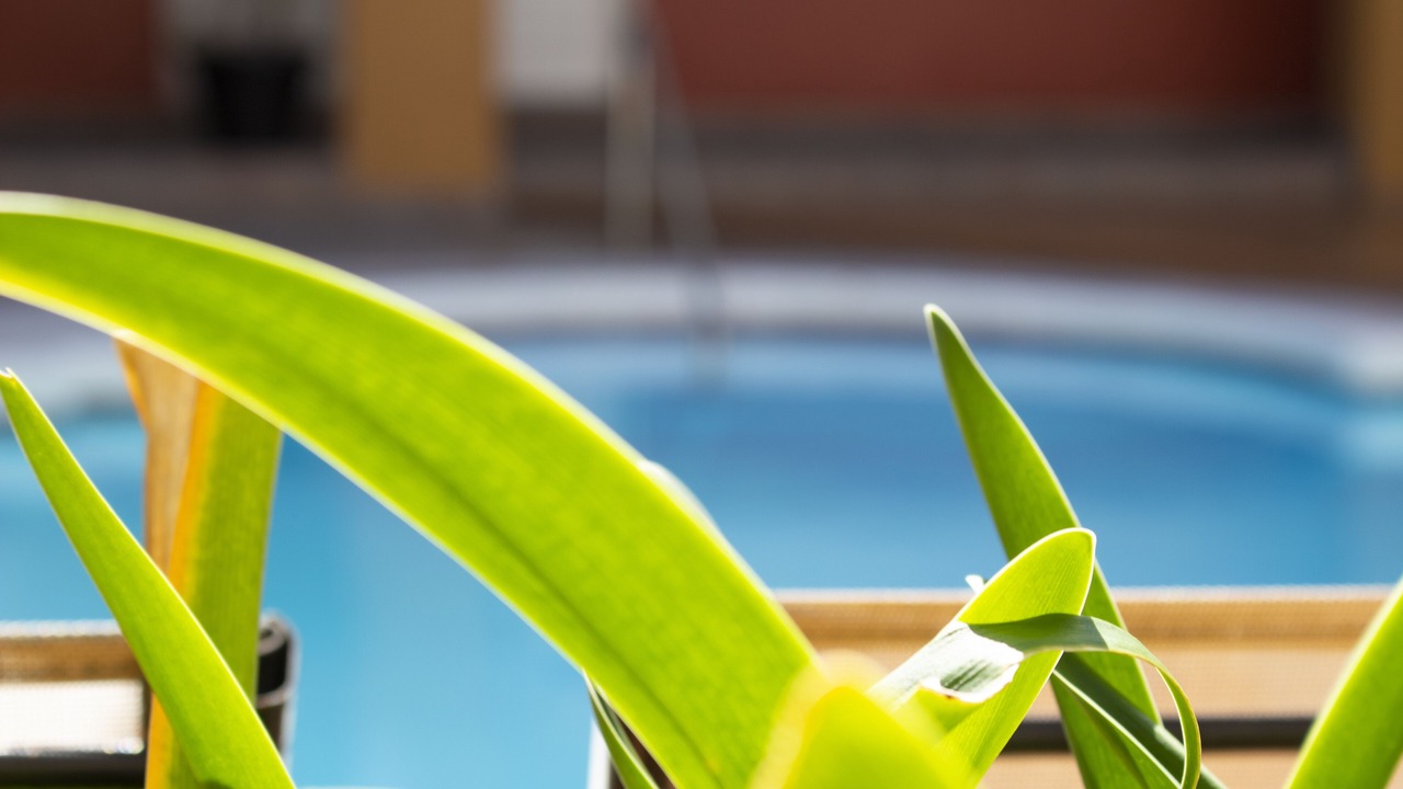 Photo of Outdoor in Playas de Tijuana