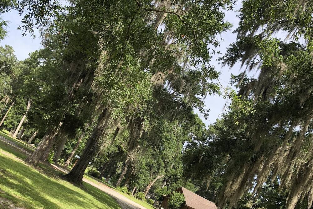 Photo of Others in Garden City