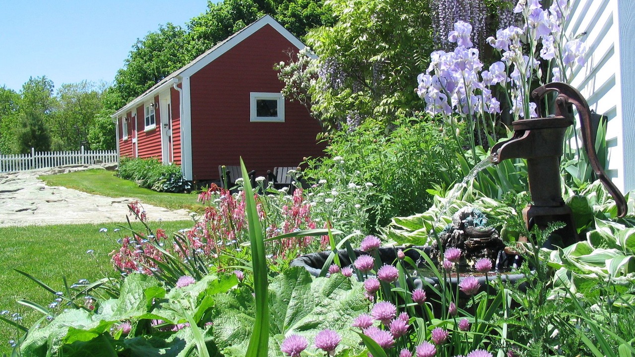 Photo of Others in York Beach