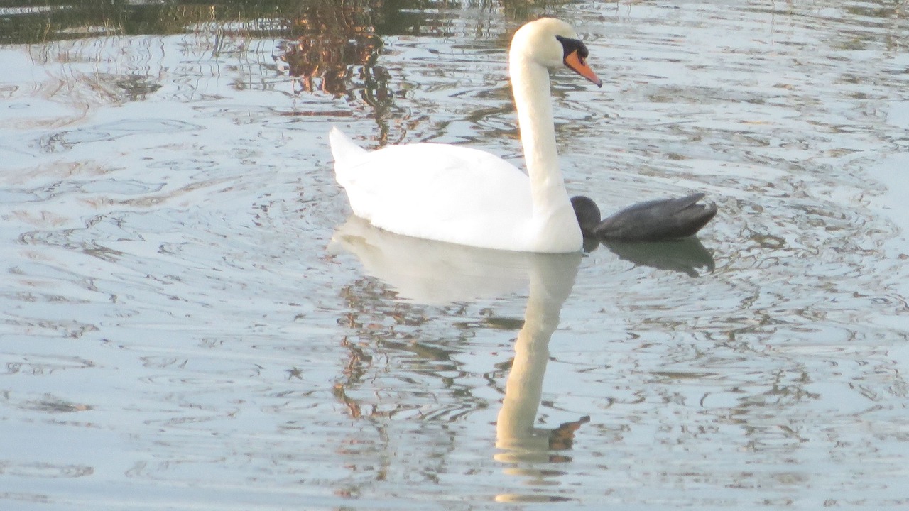 Photo of Others in Brecey