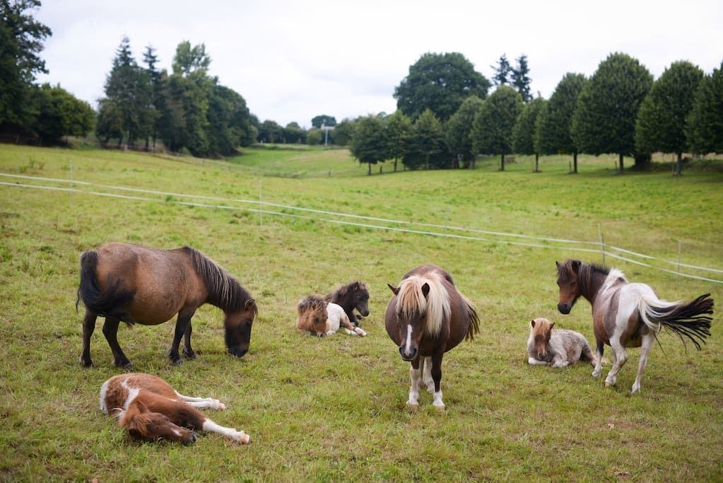 Photo of Outdoor in Brecey