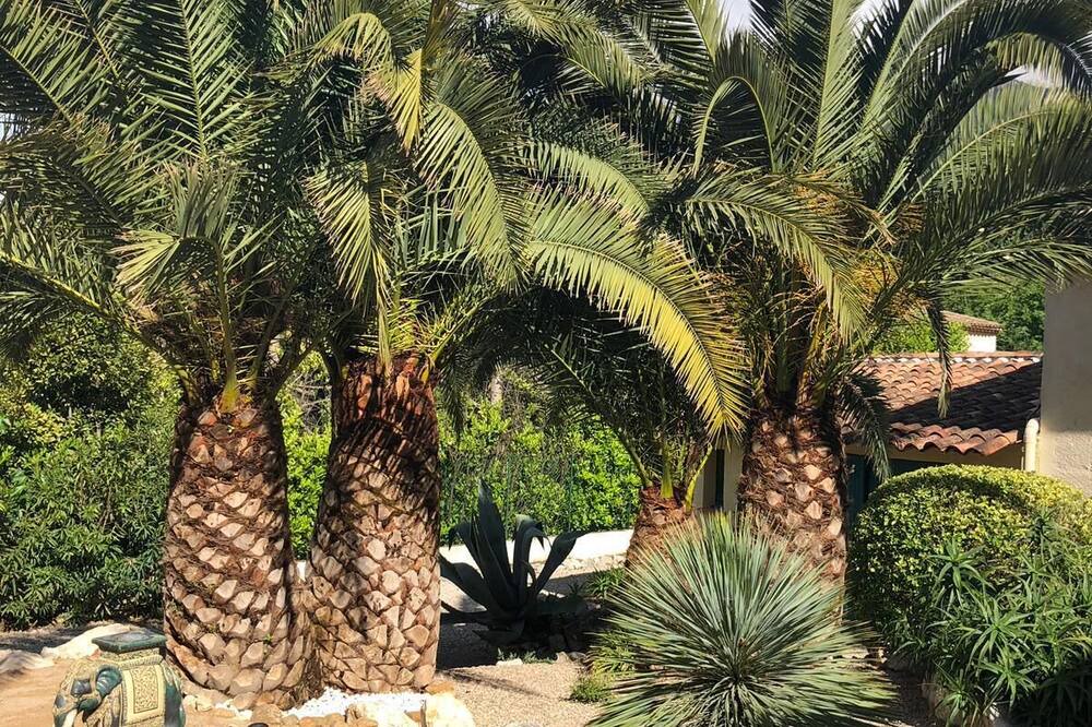 Photo of Outdoor in Tourrettes-sur-Loup